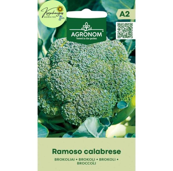 Broccoli